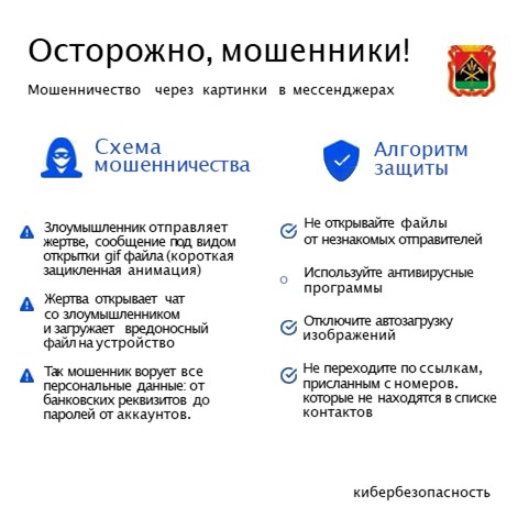 ac7a06fa553e69a26d8b26c55ecc42b3.jpg